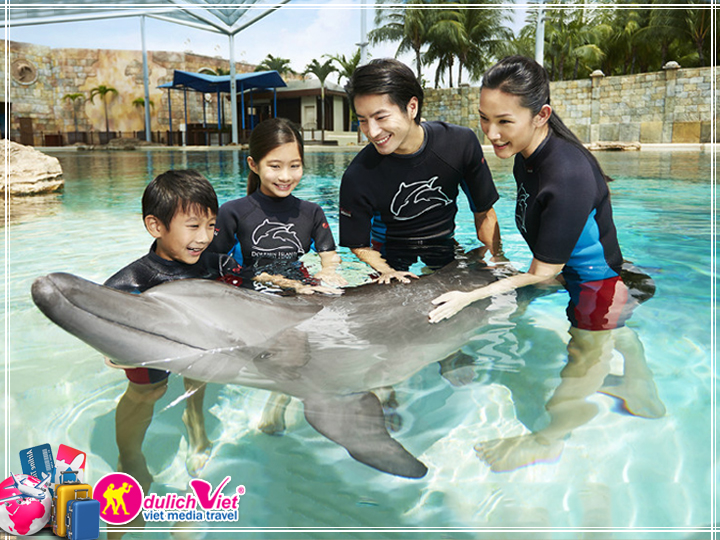 Vé tham quan Singapore Dolphin Adventure giá tốt 2017